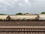 CEFX 635821